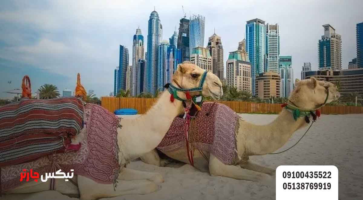 بهترین-فصل-سفر-به-دبی-تیکس چارتر