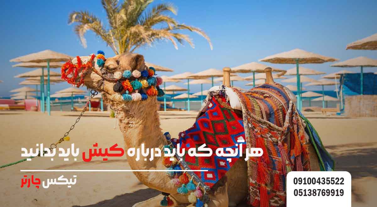 هر-آنچه-که-باید-درباره-کیش-باید-بدانید-تیکس چارتر