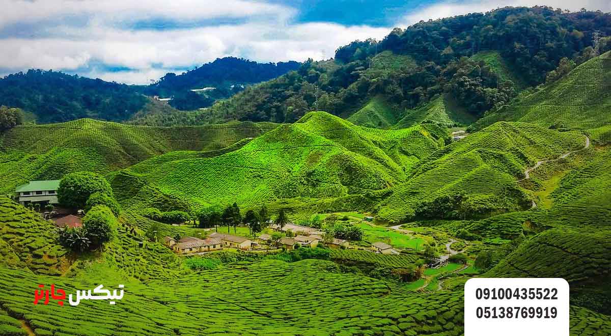 ارتفاعات-کامرون-هایلندز-(Cameron-Highlands)-تیکس چارتر