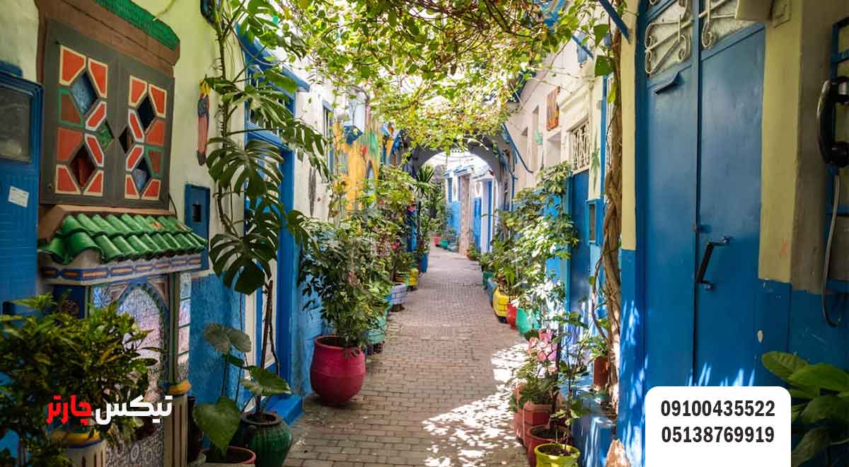 شهر-طنجه-تیکس چارتر