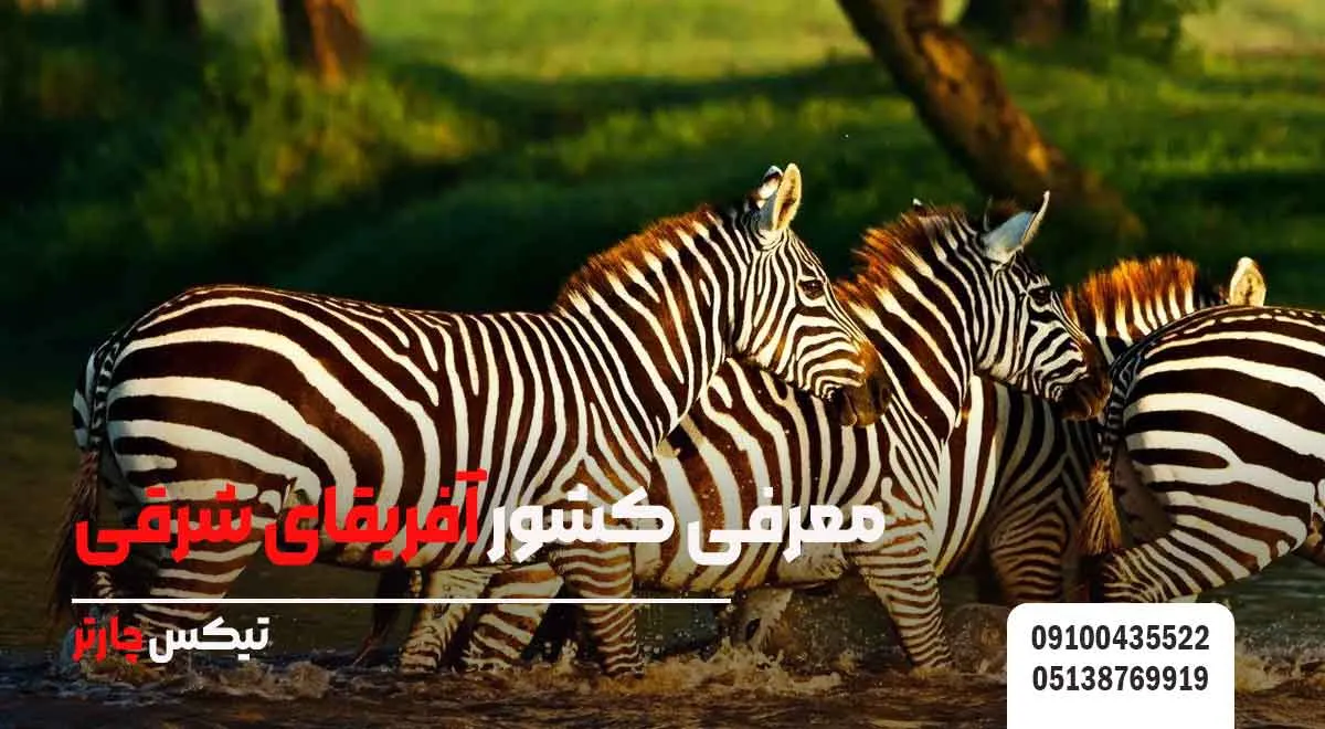معرفی-کشور-آفریقای-شرقی | تیکس چارتر