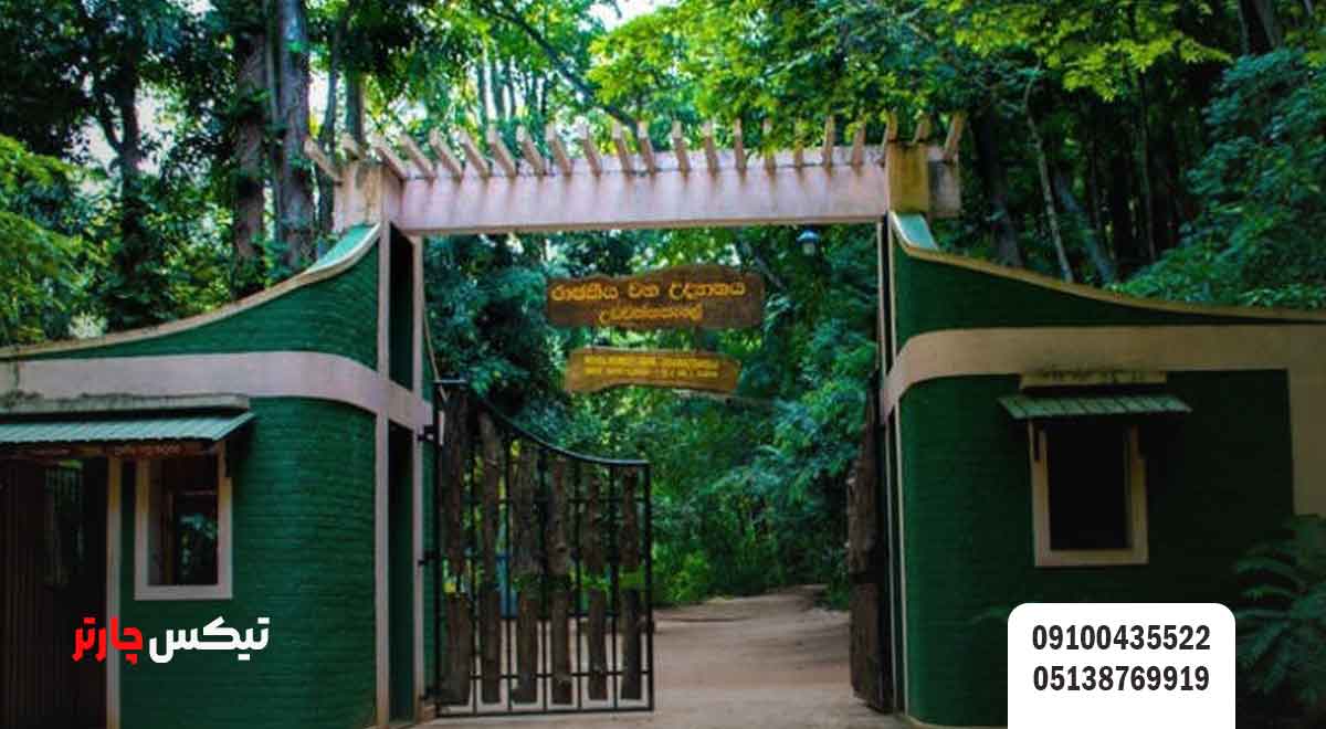 پناهگاه-اوداواتکله-در-سریلانکا-(Udawattekele-Sanctuary)
