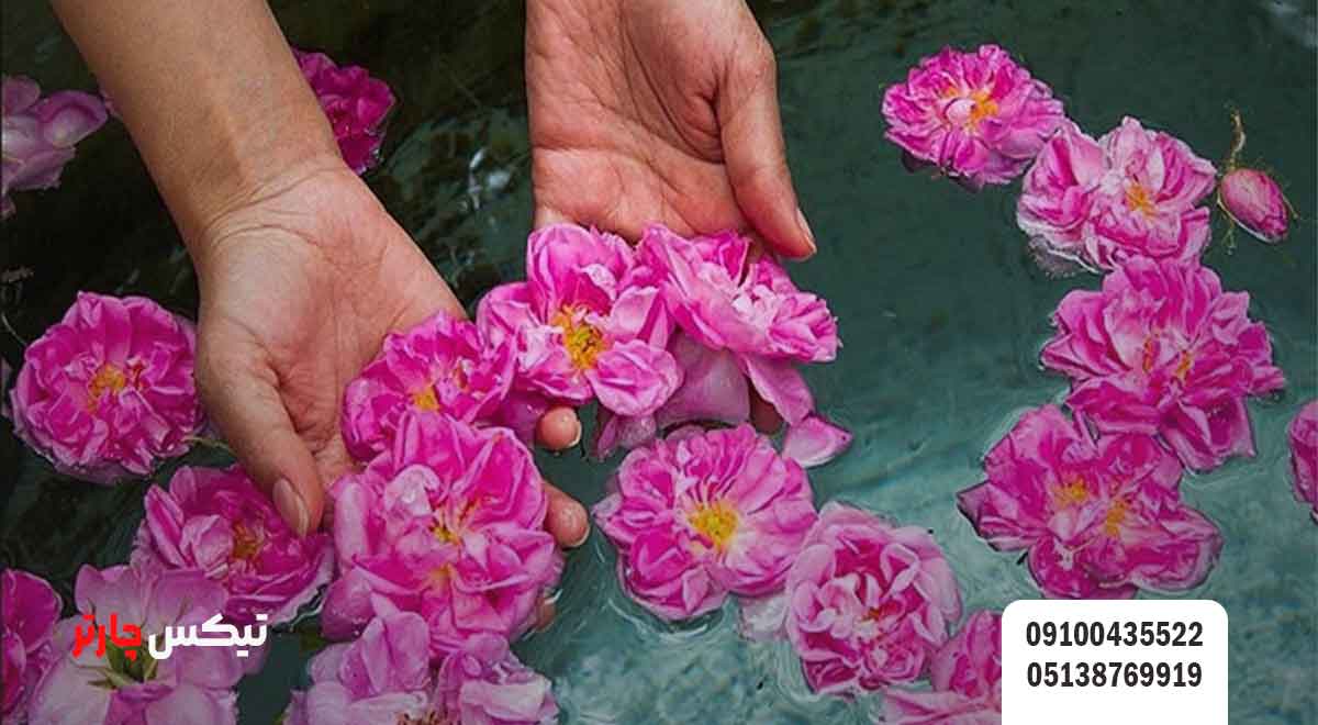 کاشان-در-فصول-مختلف-سال - تیکس چارتر