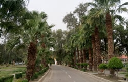 باغ زورا (حدیقه الزوراء)