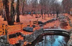 تور یزد به مشهد