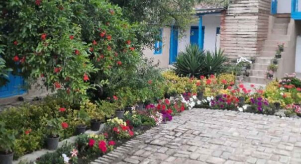 اقامتگاه بومگردی ددنگه گرگان - تیکس چارتر
