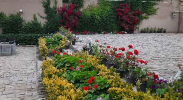 اقامتگاه بومگردی ددنگه گرگان - تیکس چارتر