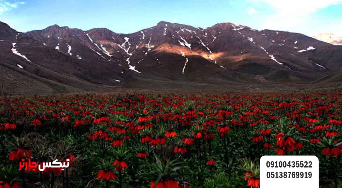 خوانسار-در-فصل_های-مختلف-تیکس چارتر