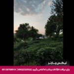 اقامتگاه بومگردی تی ته رودسر-تیکس چارتر