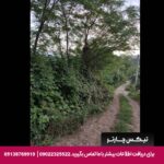اقامتگاه بومگردی تی ته رودسر-تیکس چارتر