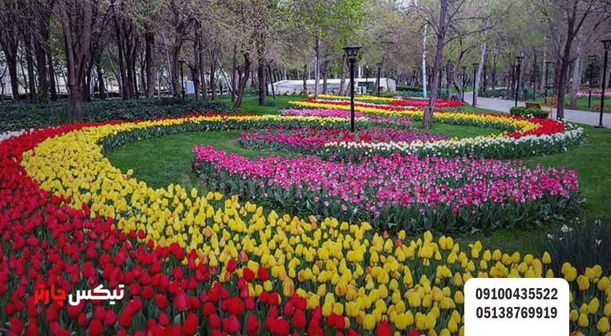 البرز-در-فصل‌های-مختلف | تیکس چارتر