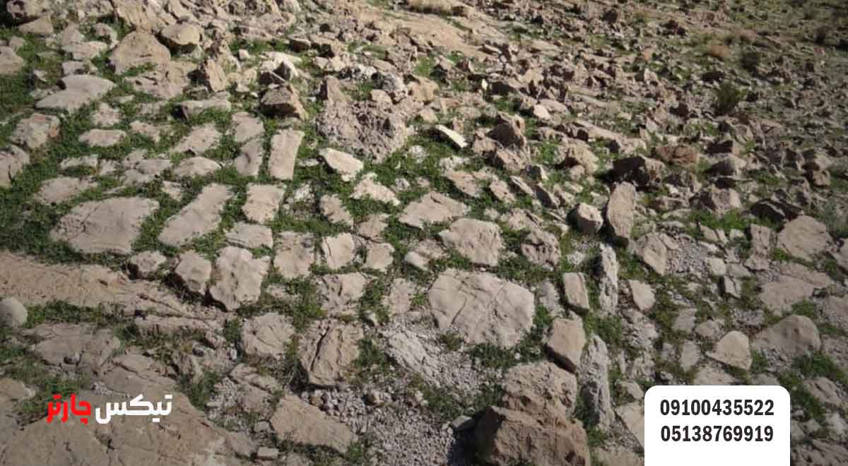 جاده-سنگ-فرش-تیکس چارتر