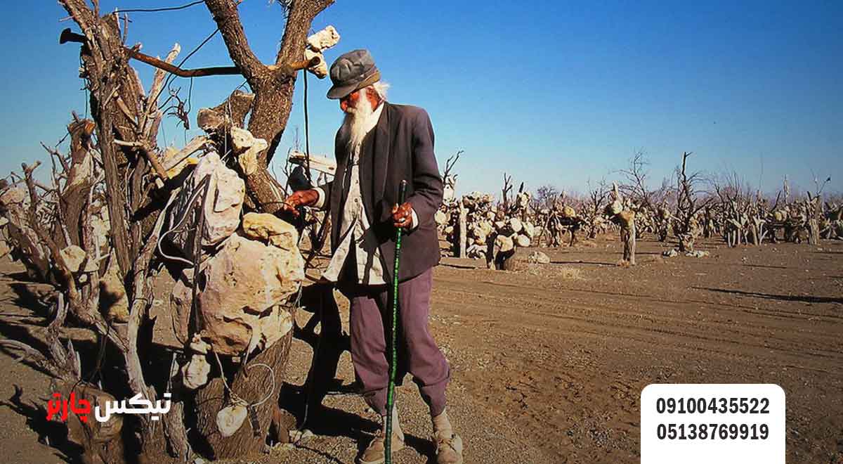 سيرجان-در-فصل_های-مختلف-تیکس چارتر