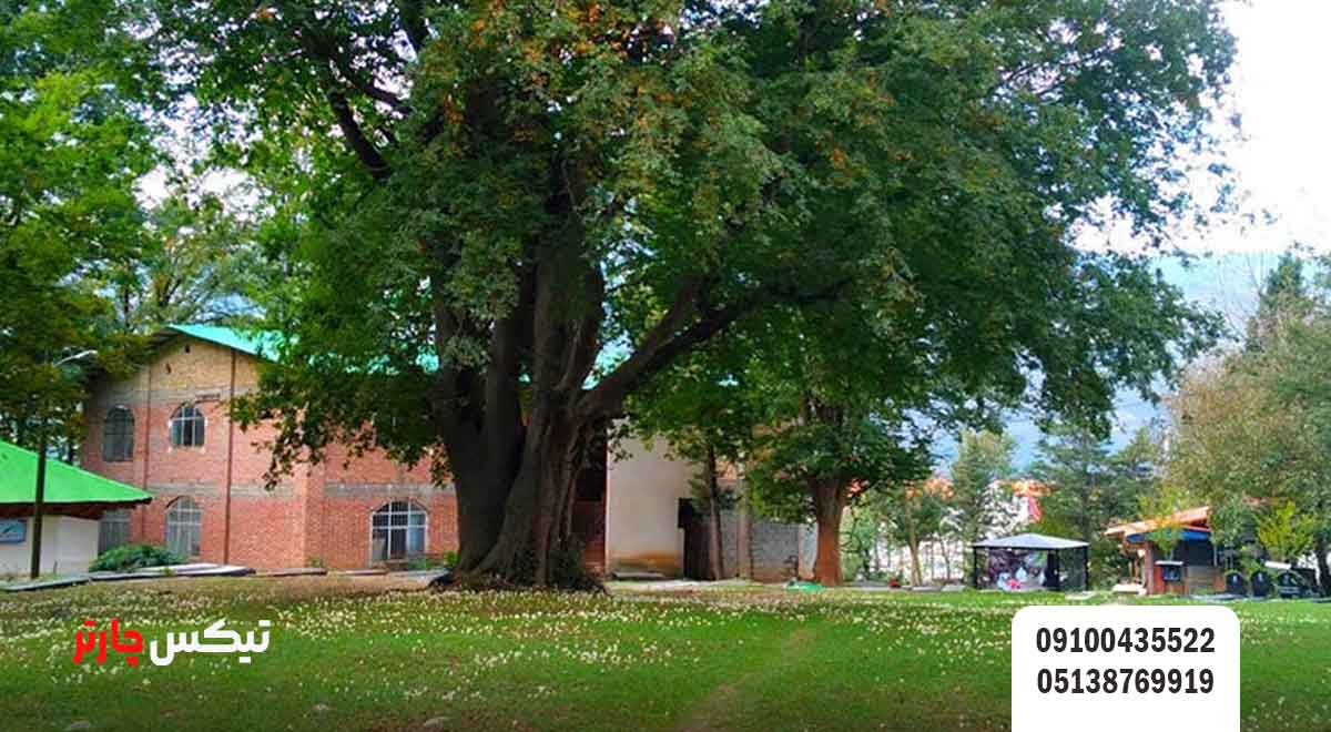 سَجیران-منطقه-ای-در-جنوب-شرقی-رودسر- تیکس چارتر