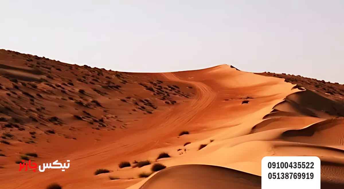 کویر-پلوند-تیکس چارتر