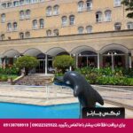 هتل بین المللی تبریز-تیکس چارتر
